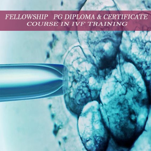 IVF Training Courses